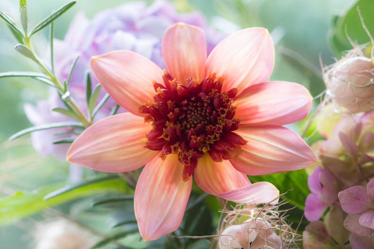 2nd  Standing out from the crowd by Duncan Burridge